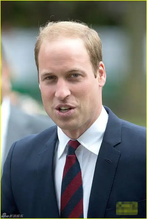 新浪娱乐讯 当地时间7月16日,英国,威廉王子独自造访战争纪念公园.