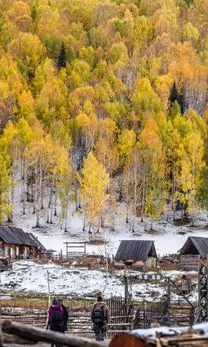 秋冬交际的日子