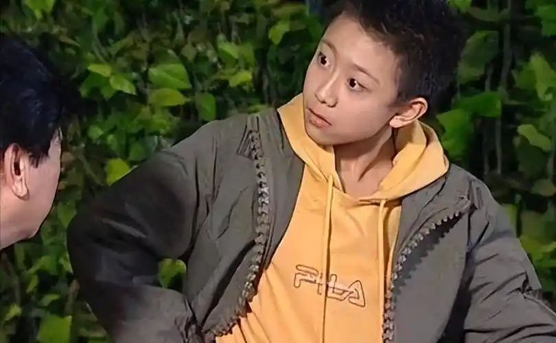 重温《家有儿女》,才懂刘星家有钱,但有个"东西"很多家庭没有_孩子