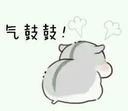 气鼓鼓! - 仓鼠撒娇表情包_仓鼠_萌萌哒_撩妹撩汉表情