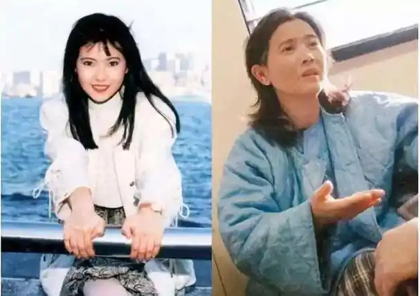 在2018年,蓝洁瑛离世,她的离世让许多人感到震惊和惋惜.