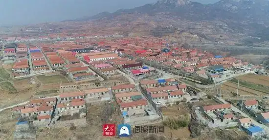 日照这个村多次被国家,省媒体报道!因为