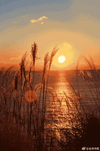 美到没朋友的秋天!嗨,我是大连!