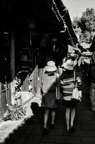 每日一拍》个人专辑第10期,松青柏坚 摄影作品《聚焦日常,敬重生活》