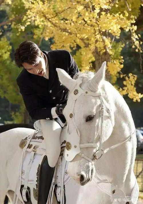 王子来了!骑白马的李敏镐,明媚的阳光,金灿灿的银杏叶,养眼