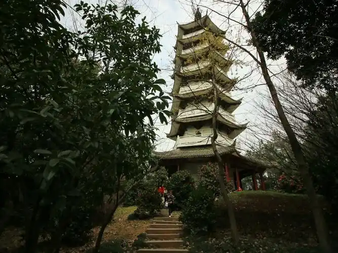 中国茶花文化园