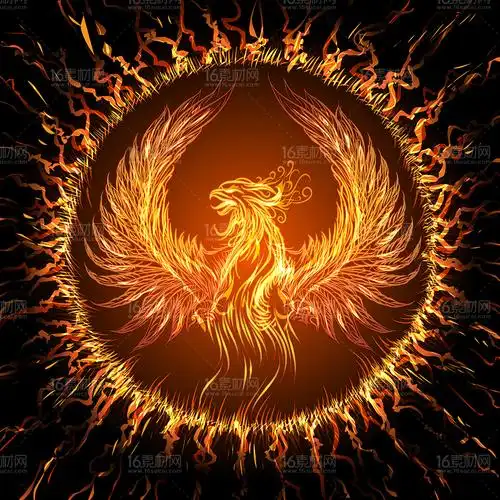 美丽的火焰凤凰设计矢量素材