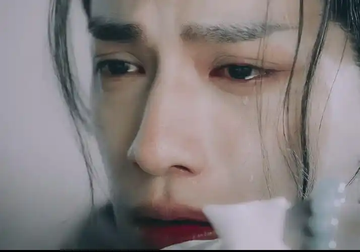 可以说罗云熙不仅古装扮相好,哭戏更是打动人心,想不火都难.