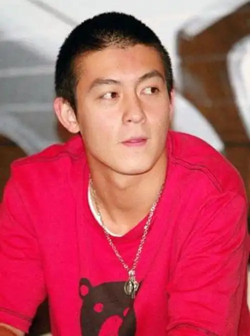 相比之下,谢霆锋的硬汉形象更为经典!