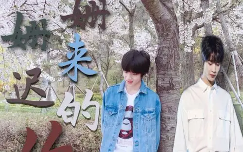 陈宥维x刘耀文致姗姗来迟的你