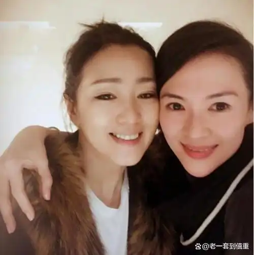 然而,六位杰出女明星——章子怡,周迅,赵薇,李冰冰,范冰冰和徐静蕾