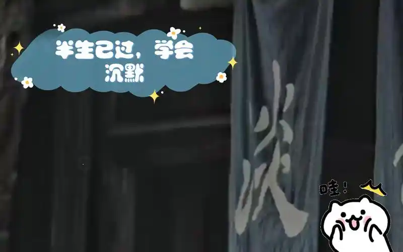 半生已过,学会沉默,凡事先讨好自己,至于别人,分心情 看交情.