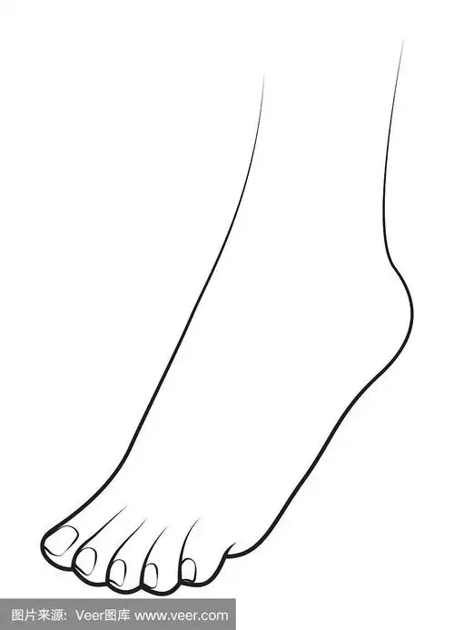 白色背景上的人脚
