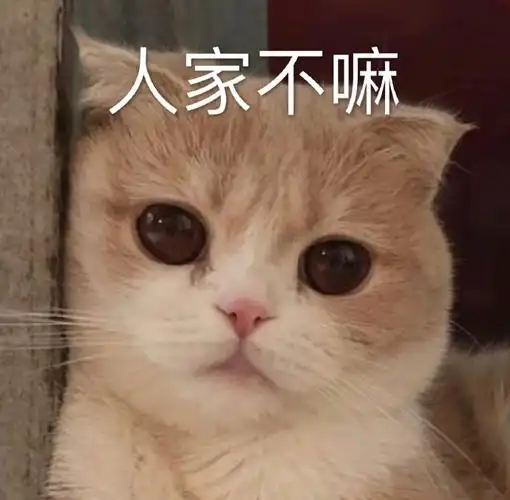 萌宠gif喵星人gif人家不嘛gif不要嘛gif卖萌gif可爱gif