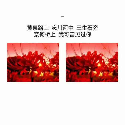 明星同人小说 朱正廷:小朋友不太乖/ "黄泉路上忘川河中三生石旁" "