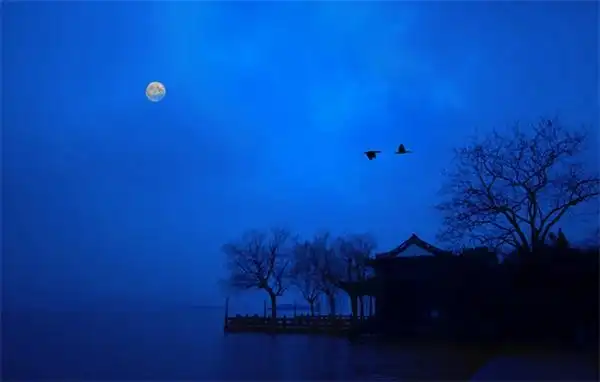 立秋| 平湖秋月·聆听秋天的声音中数创意-中国数字文化集团