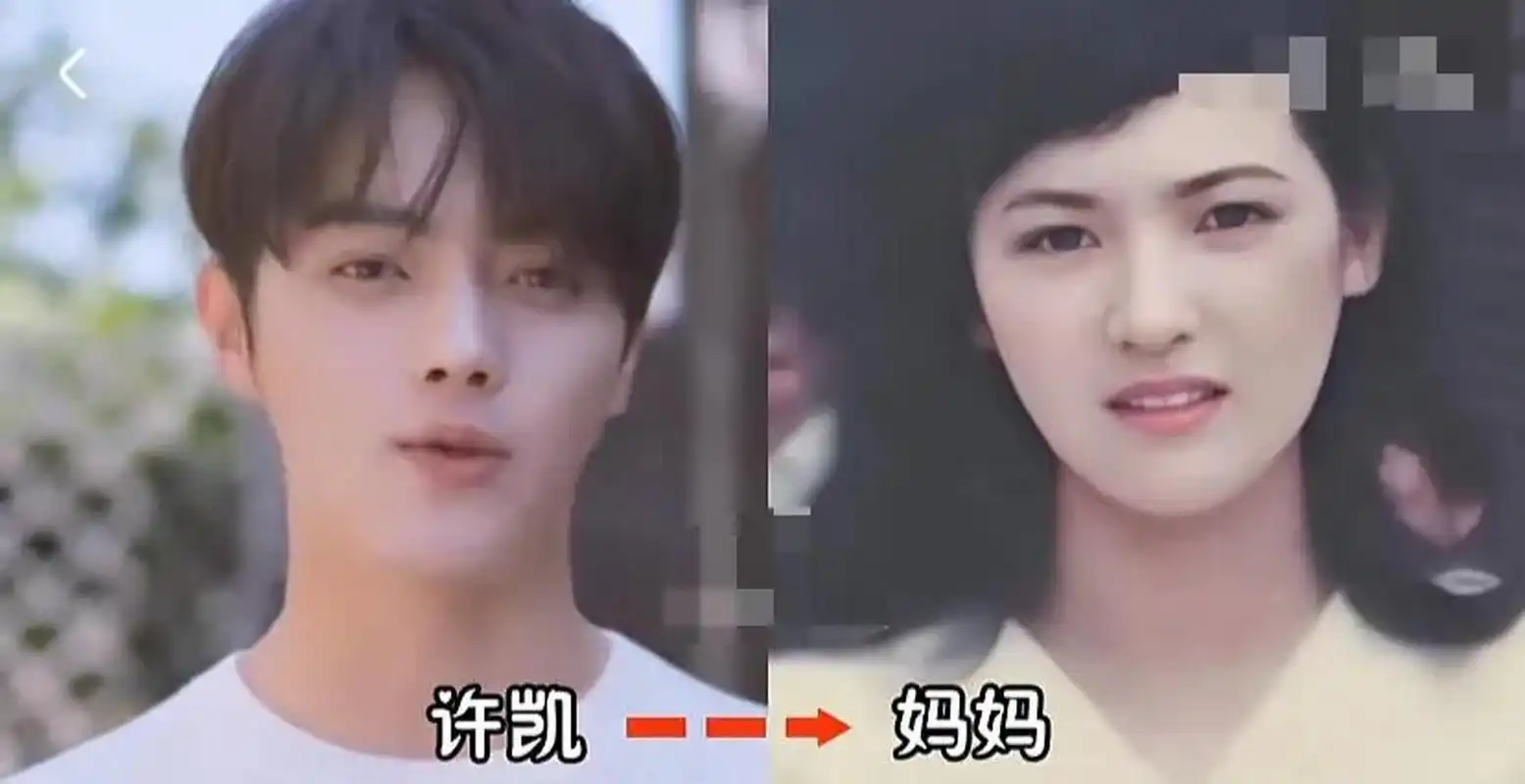 怎么我感觉许凯妈妈长的跟吴亦凡的妈妈,还有点像怎么回事 [捂脸] .