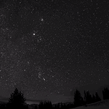 树gif星空gif夜晚gif晚上gif