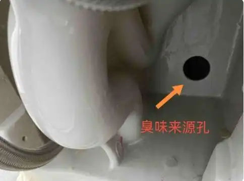 地漏|垃圾桶|智能马桶_网易订阅