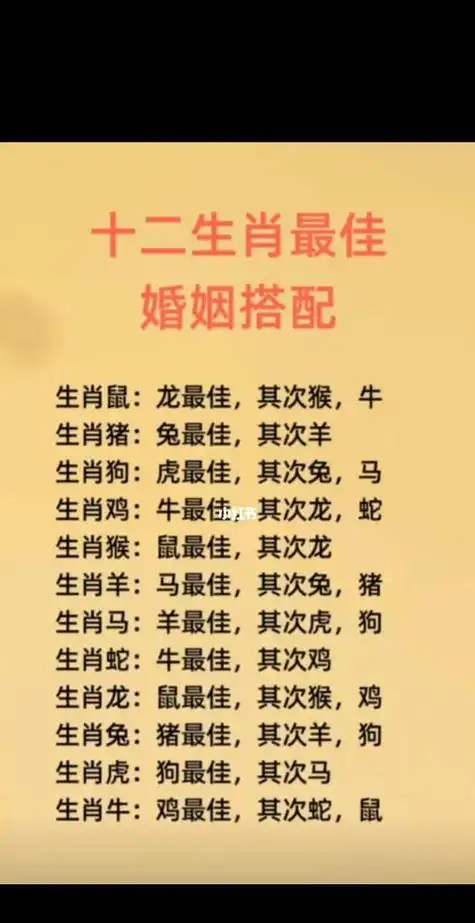 十二生肖最佳婚配表,十二生肖男女最佳配对表虎图4