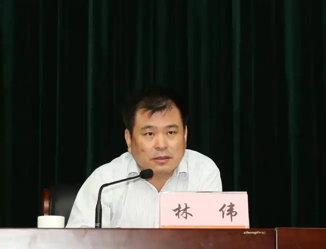 林伟书记讲话