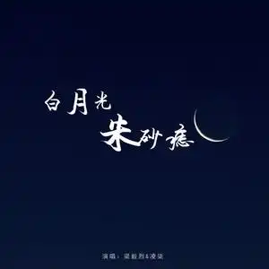 白月光与朱砂痣