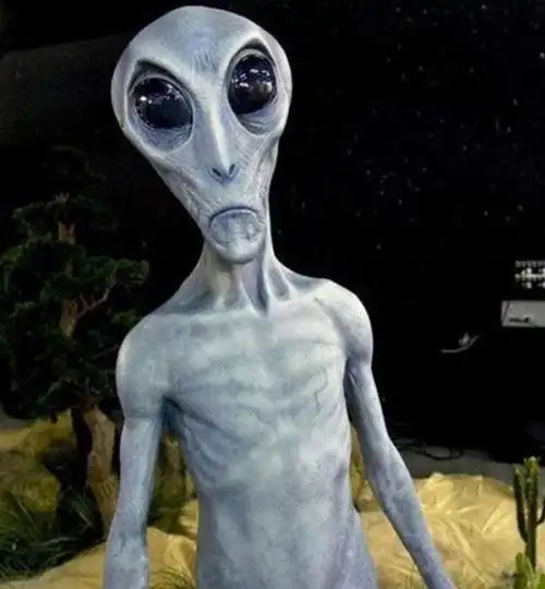 盘点十大神秘外星人之谜解剖外星人影片引起轰动