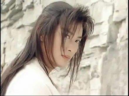 张卫健(《江湖小子》)