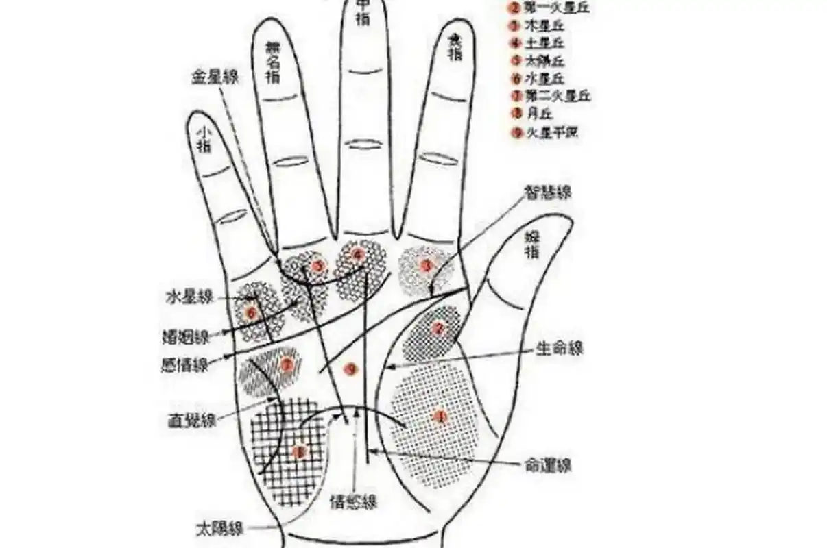 男子看八卦,女子看九宫. 3.大拇指是君,无名指是臣.