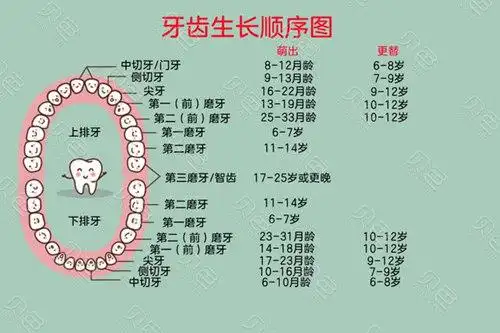 10岁孩子牙齿摔断了怎么修复10岁门牙磕掉了还能长出来吗