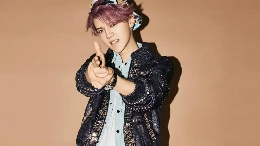 鹿晗歌手小鲜肉明星风尚壁纸2