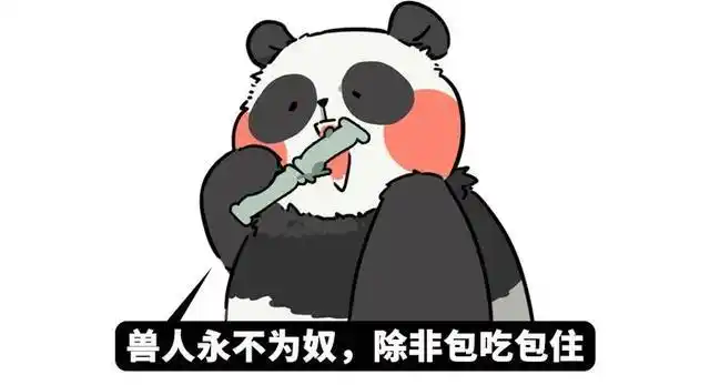 用熊猫粑粑泡水,竟然有绿茶香?