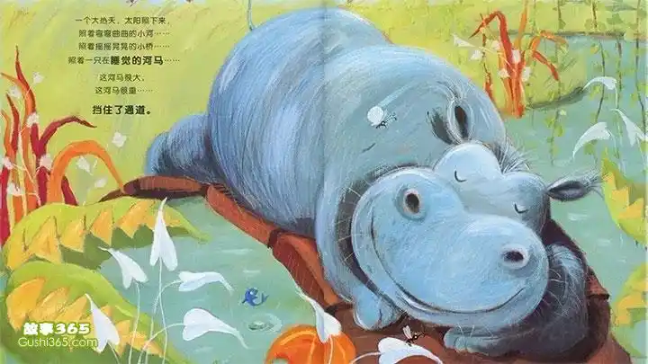 你别想让河马走开