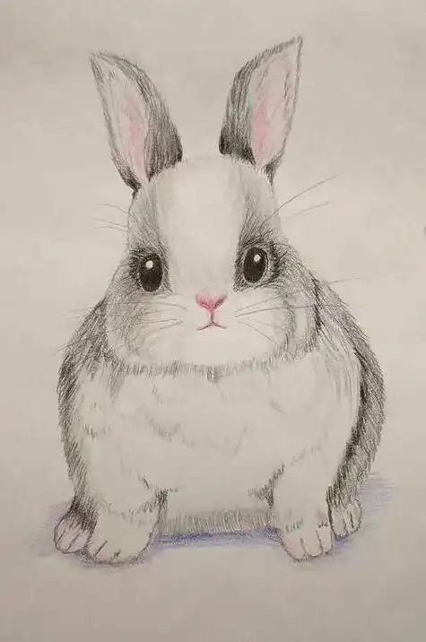 一年级素描画大全简单一年级素描画大全简单美丽的校园