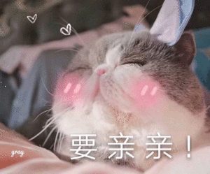 那些情侣聊天常用的表情包关于过节