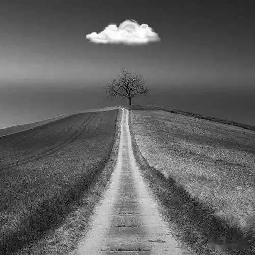 别有意境的黑白风景