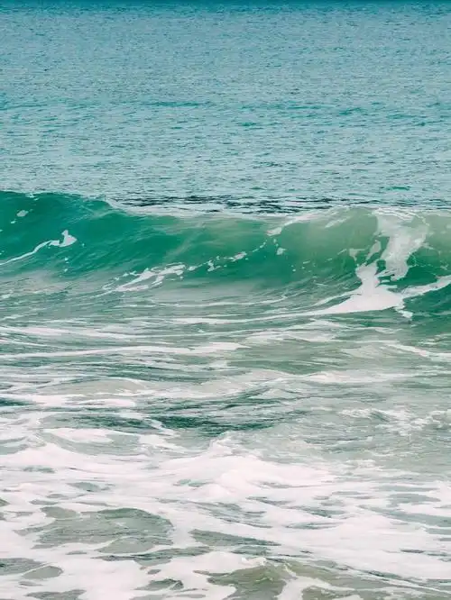 看见海会感觉很平静