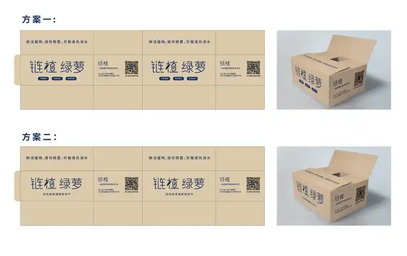 植物运输包装箱子