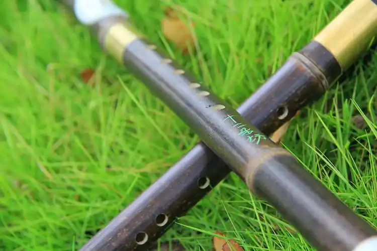 天然紫竹横吹巴乌 g调f调 可拆卸初学练习巴乌 厂家直销