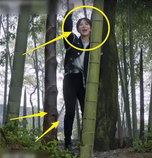 向往5成员划船杨紫突然出现我却看着张艺兴的眼睛