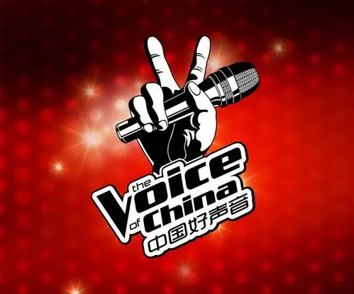 《中国好声音》第五季被指侵权 荷兰talpa公司索赔300万元