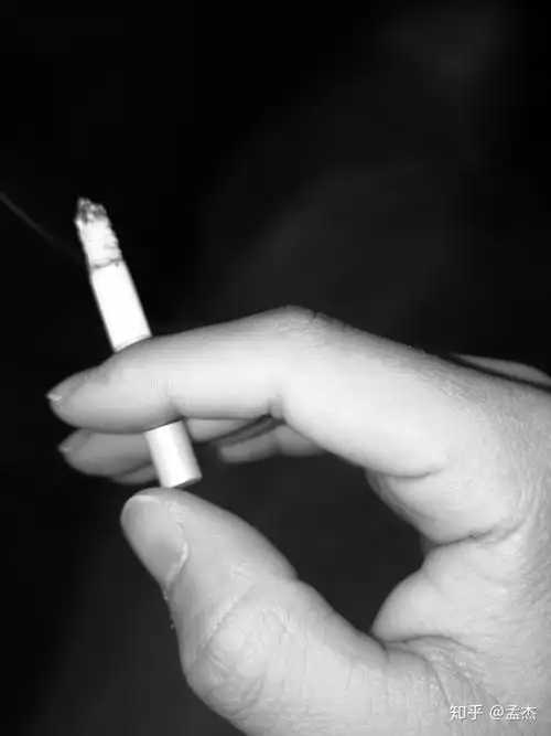 有哪些不经意拍出的惊艳照片?