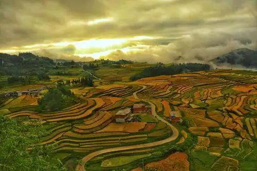 贵定腊利寨 ——梯田