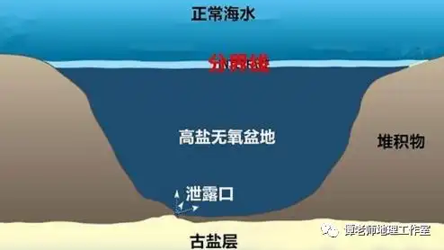 【地理探究】什么是海底盐池?什么是深海冷泉?什么是海中断崖?