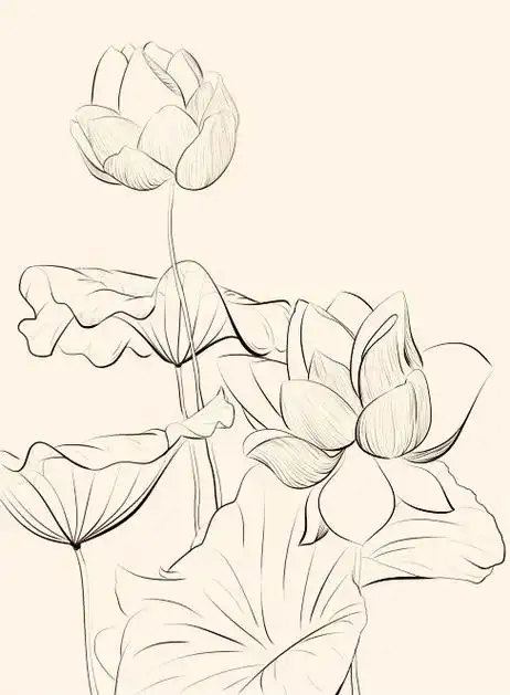 一起学画画 #画画 #古风 #简笔画  - 抖音