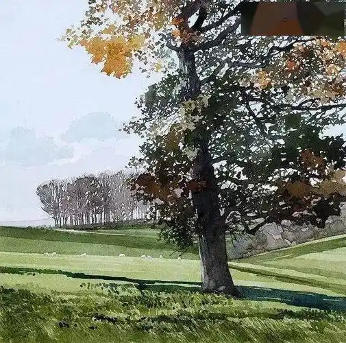 26幅水彩画树作品欣赏,超级赞 水彩树木