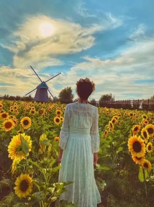 剧照,身穿洁白的连衣裙,头戴花环,置身浪漫的向日葵花海,背影看起来很