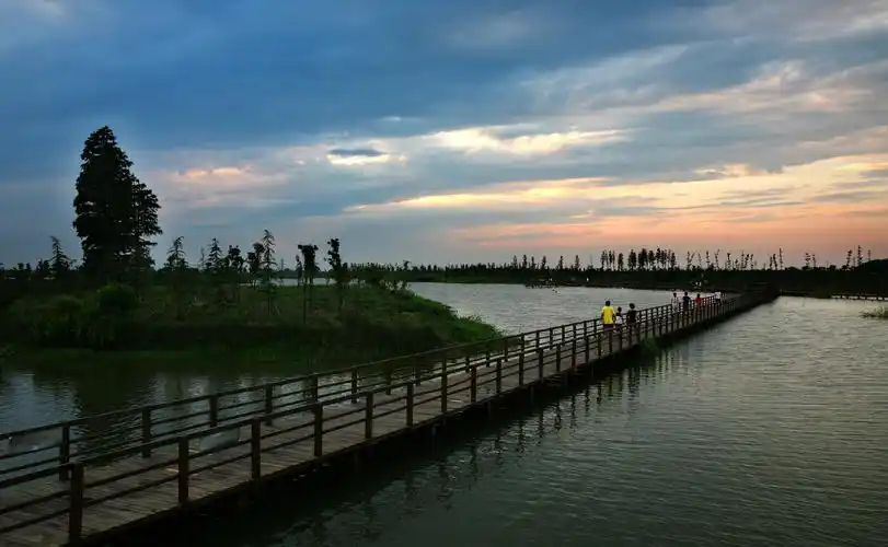 长荡湖湿地公园:有氧运动的天堂