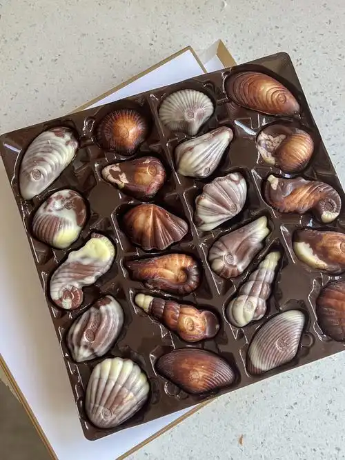 小时候的回忆长大了还是好爱吃贝壳巧克力