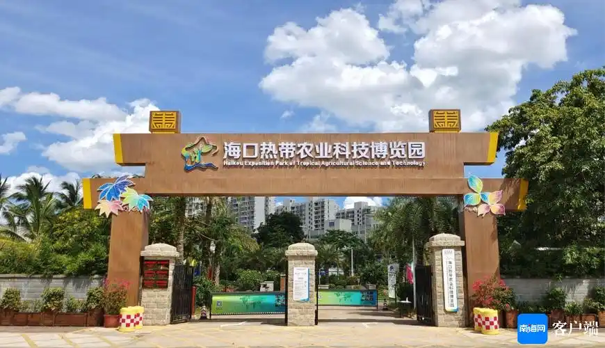 中国热带农业科学院 媒体报道 【南海网】海南这群科技工作者让大众